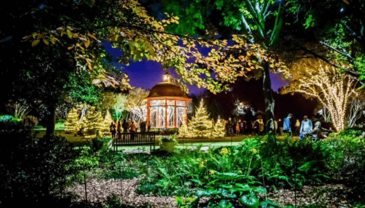 The Dallas Arboretum at night