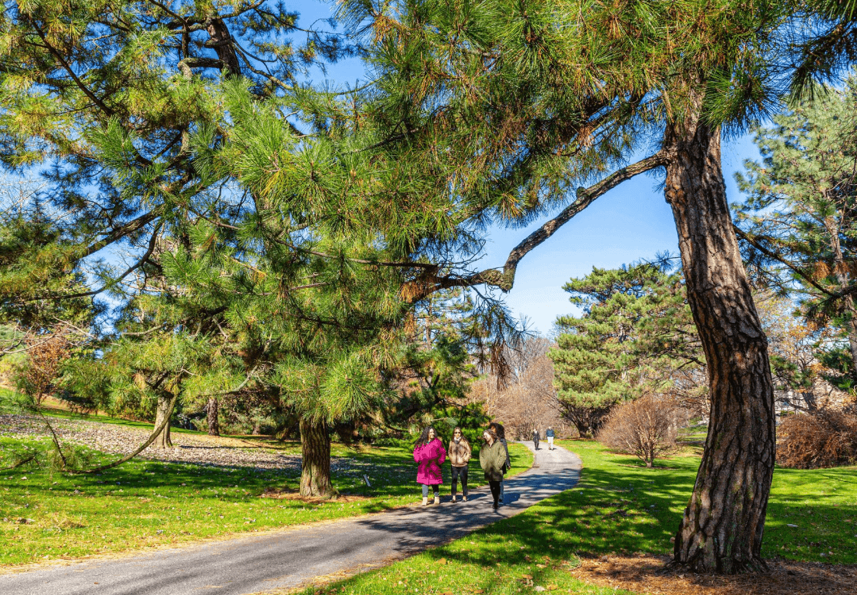 New York Botanical Garden 