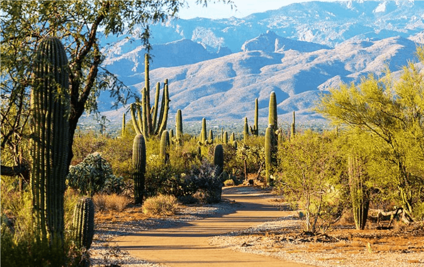 {{https://mixerdates.com/?ch=citypage}}Date Spots in Tucson